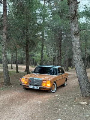 Gaziantep Şoförlü Nostaljik W115 Mercedes Gelin Arabası Kiralama